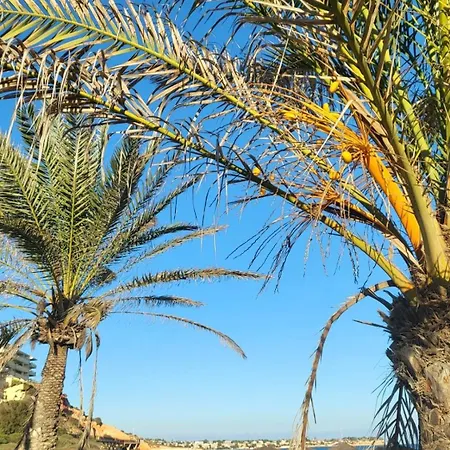 Apartment Serenity By The Sea Ii, Altos De Campoamor, 2 Bedrooms, Balcony , Terrace , Tennis Court And Beautiful Swimming Pool Dehesa de Campoamor (Orihuela Costa)